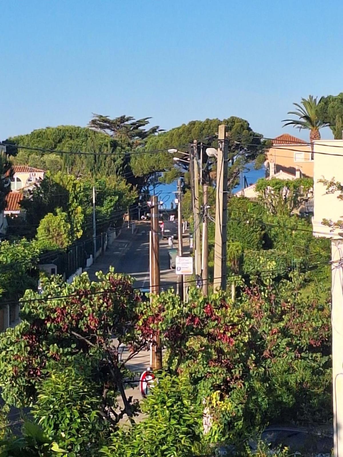 Appartement bord de mer avec terrasse Saint-Cyr-sur-Mer Extérieur photo